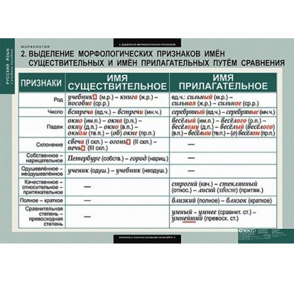Таблицы демонстрационные "Русский язык. Морфология" 8508