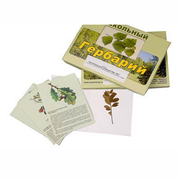 Гербарий "Растительные сообщества. Лес" (9 видов, 10 планшетов, с иллюстрациями и фотографиями) 8556