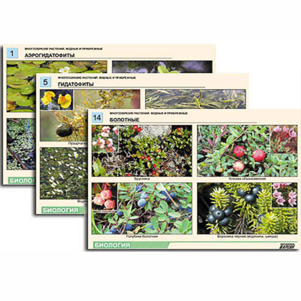 Комплект таблиц по ботанике раздат. "Многообразие растений. Водные и прибрежные" (16 шт., А4, лам) 7582