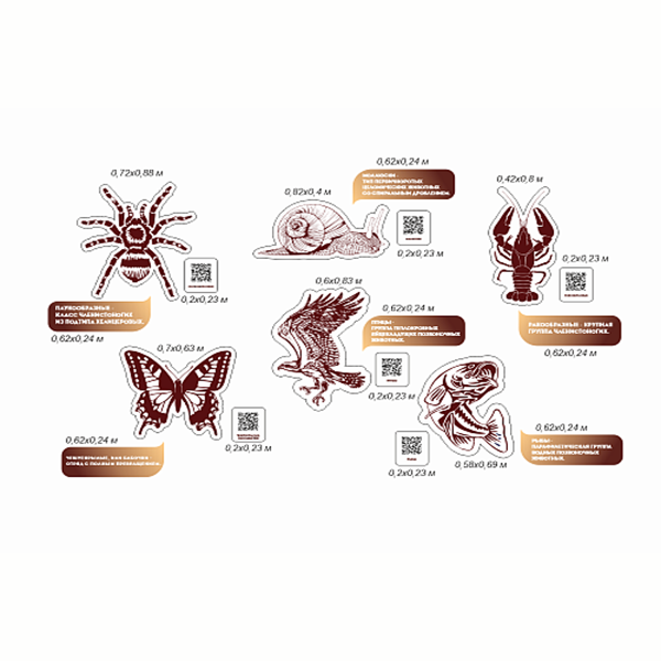 Комплект стендов для кабинета биологии "Классификация животного мира" ШК-3989