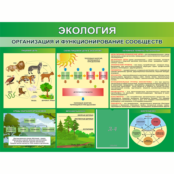 Стенд "Экология Организация и функционирование сообществ" ШК-0753